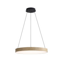 Golden 4963-24 DW - Wry Lighting Anello Integrated LED Pendant in Driftwood